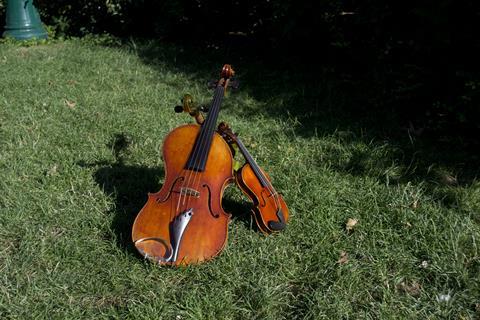Sabatier viola